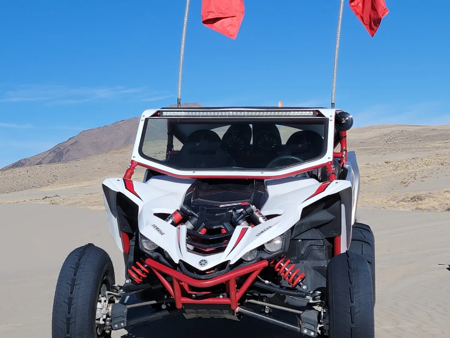 Frenched in Light Bar - Image 6