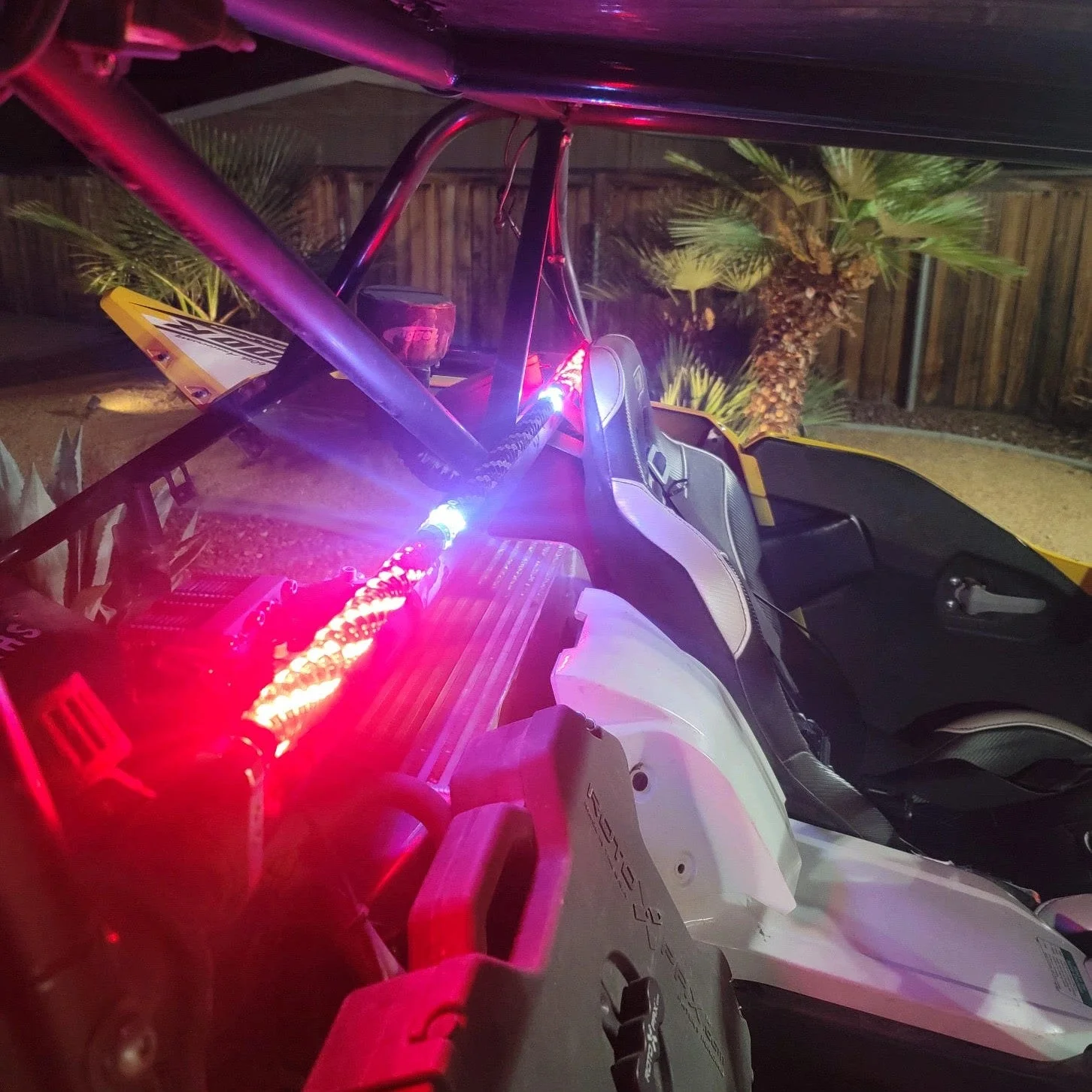 Interior Whip - Image 4
