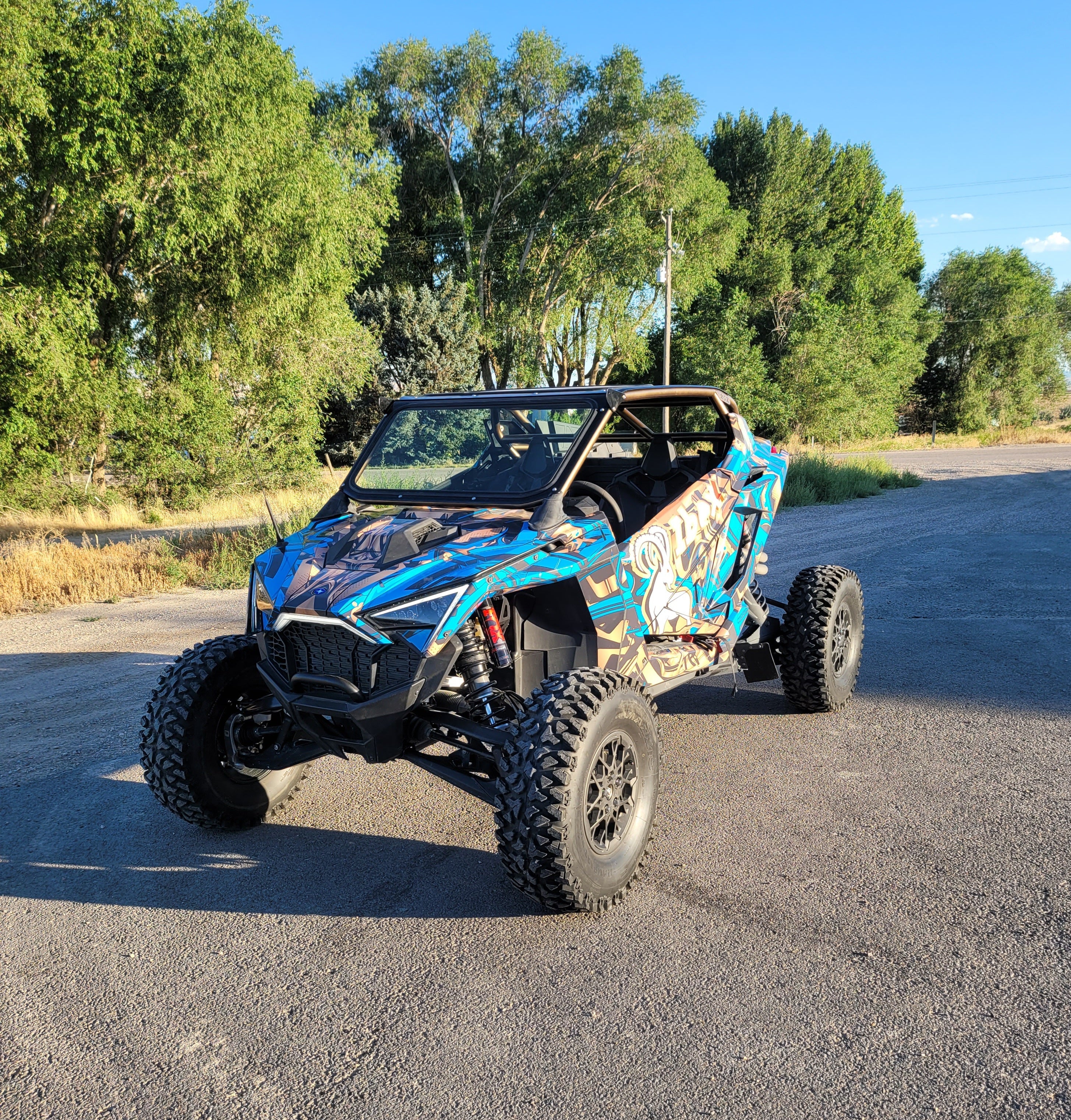 PRO-R / PRO-S / TURBO-R / PRO-XP 2-Seat Cage System - Image 14