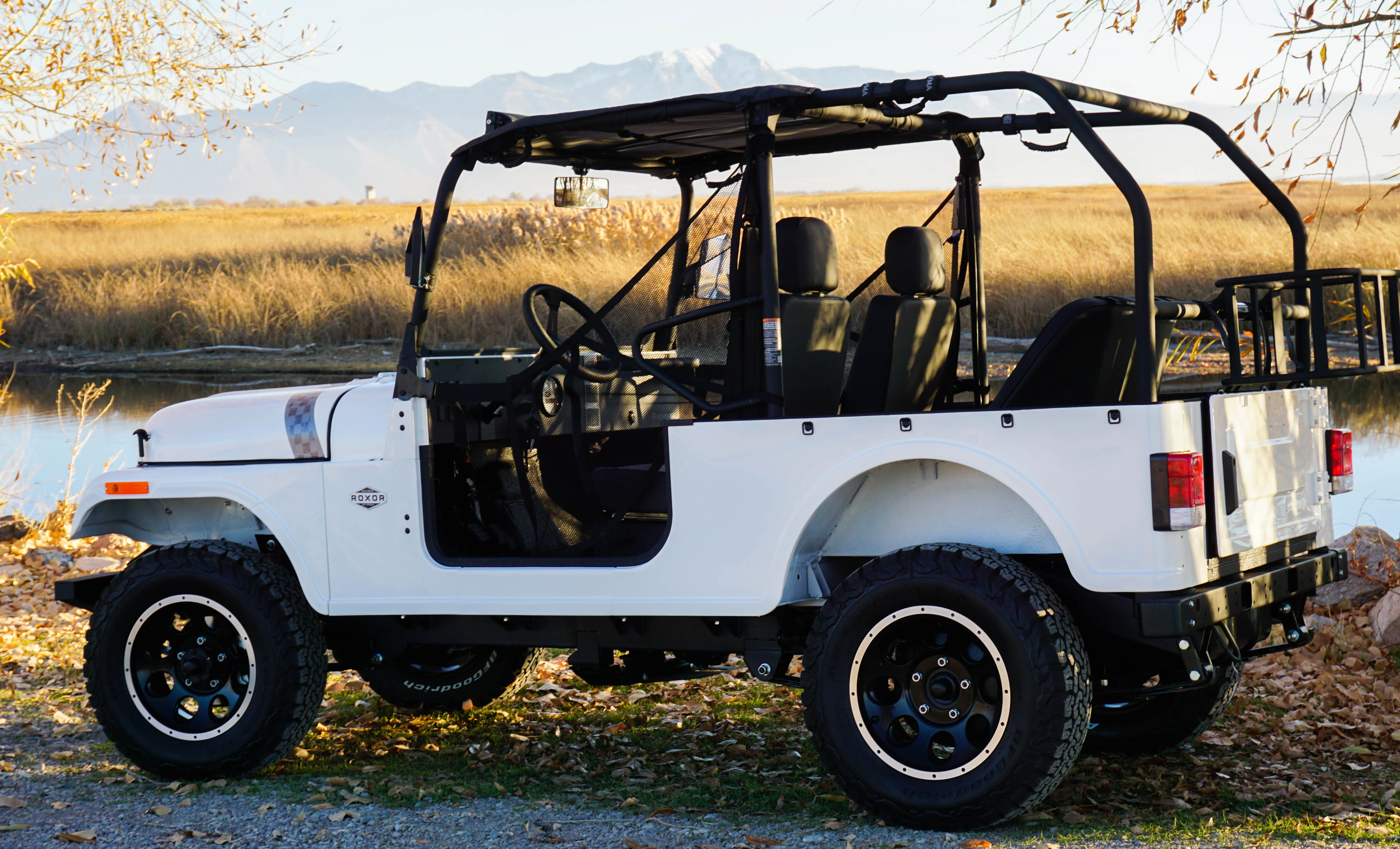 ROXOR Backseat and Roll Cage Kit (2018+) - Image 8