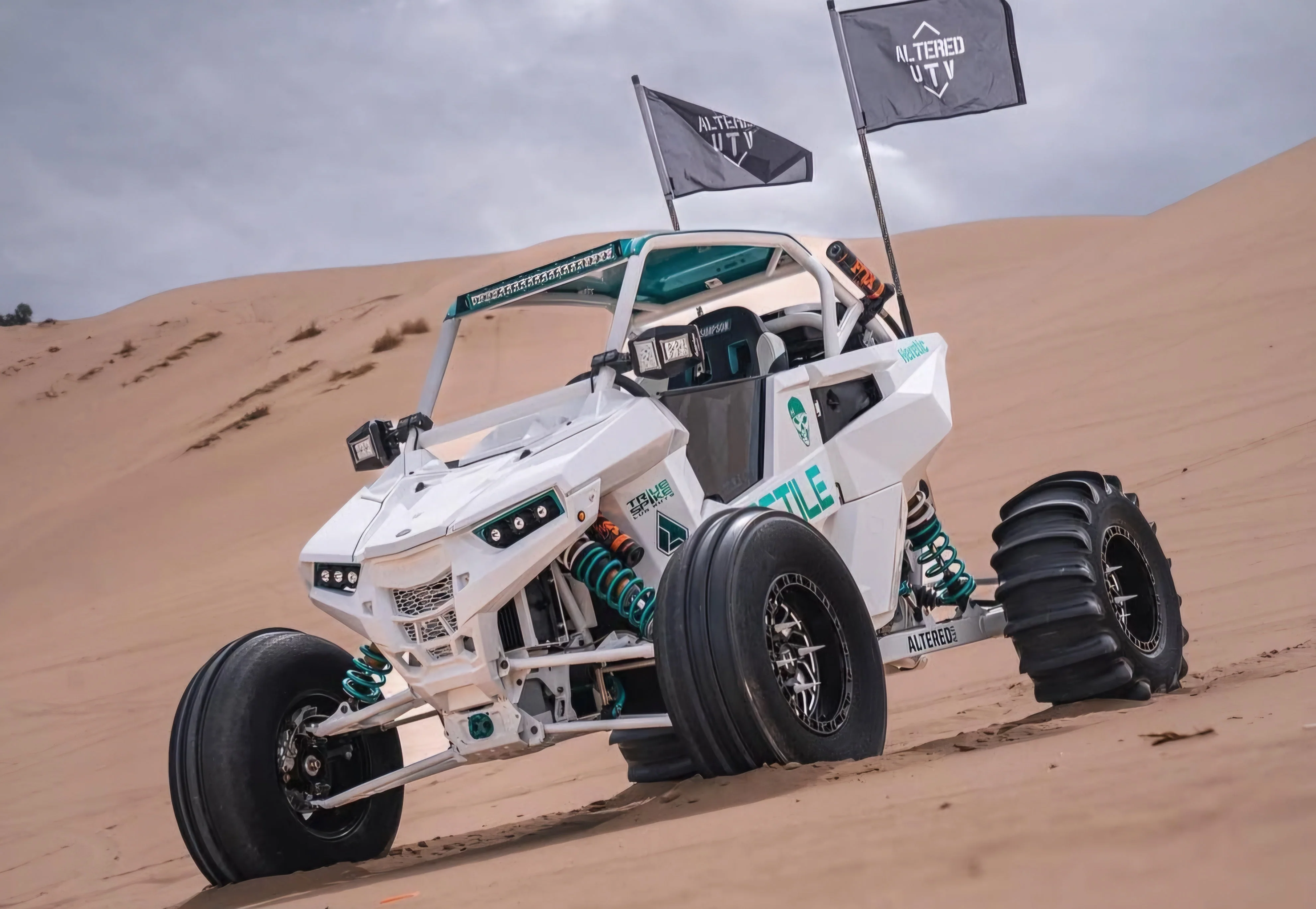 RS1 Cage - Customizable DOM Tubing Roll Cage - Image 5